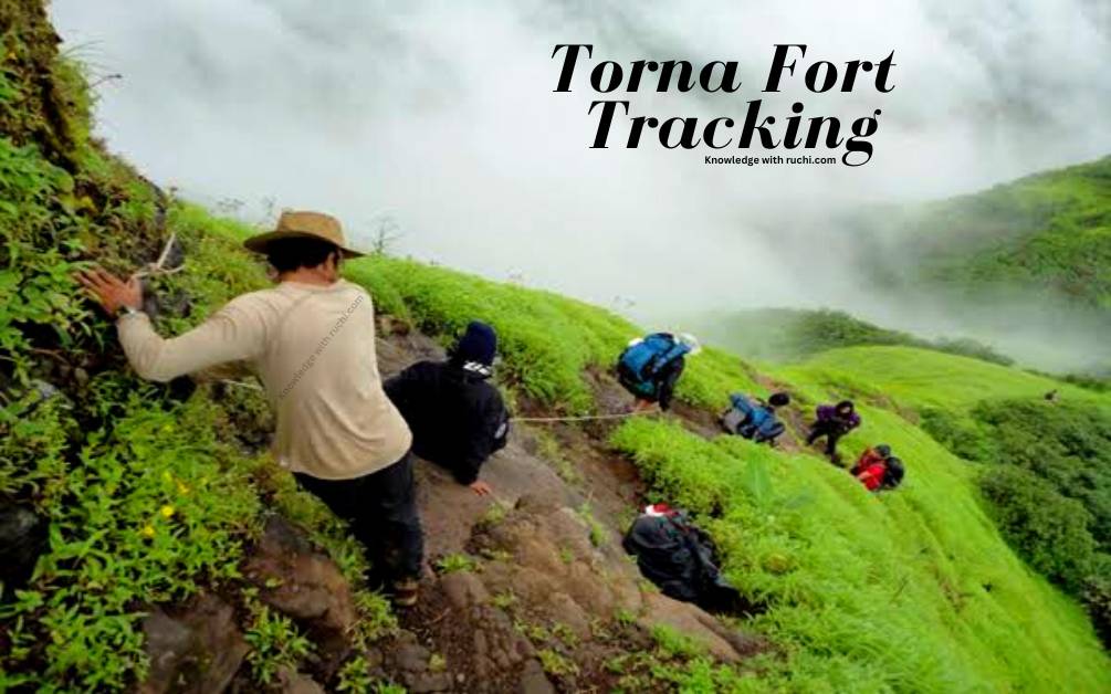 Rajgad to Torna Fort Tracking